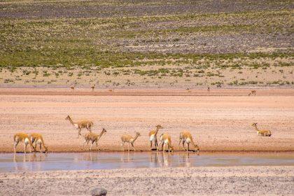 découvrez antioch, une ville riche en histoire et en culture, offrant des paysages magnifiques, des sites historiques fascinants et une communauté chaleureuse. explorez ses attractions uniques et vivez une expérience inoubliable dans ce joyau caché.