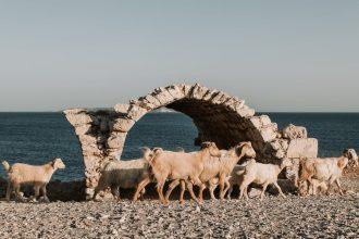 découvrez antalya, la perle de la côte turque, célèbre pour ses plages de sable fin, son riche patrimoine historique et ses paysages à couper le souffle. explorez des sites antiques, profitez de la cuisine locale savoureuse et vivez des moments inoubliables au cœur de cette destination estivale prisée.