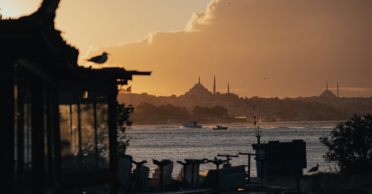 découvrez la beauté spectaculaire de la mosquée bleue, un chef-d'œuvre architectural d'istanbul, célèbre pour ses dômes majestueux et ses minarets élancés. plongez dans l'histoire et la culture de la turquie en visitant ce monument emblématique, qui allie harmonieusement art islamique et traditions séculaires.