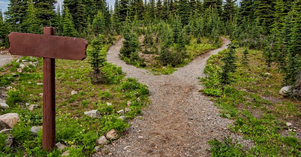 découvrez 'crossroads', un voyage captivant à travers les décisions de la vie où chaque choice façonne notre avenir. explorez les thèmes de la métamorphose et des chemins divergents dans cette œuvre inspirante.