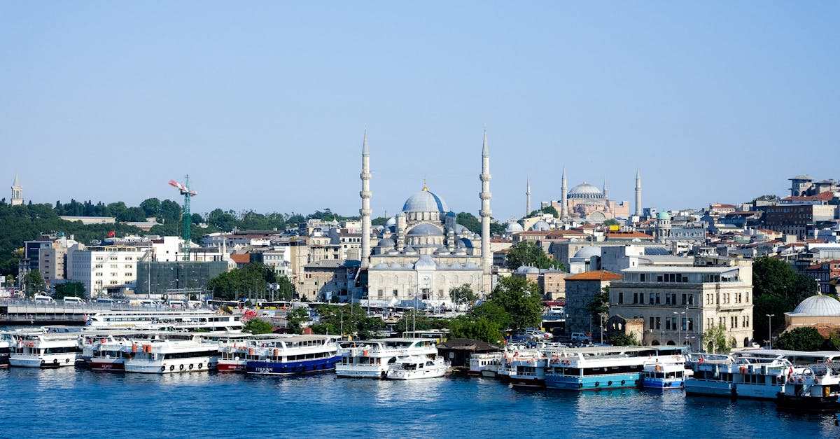 découvrez le golden horn, un magnifique estuaire naturel situé à istanbul, qui séduit par sa beauté pittoresque et son importance historique. explorez les rives animées, les parcs luxuriants et les richesses culturelles qui font de cet endroit une destination incontournable.