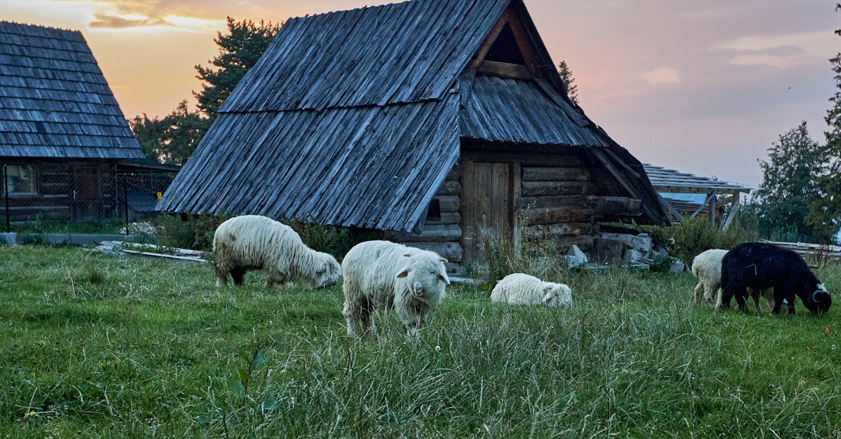 découvrez des visites guidées inoubliables qui vous plongeront au cœur de l'histoire, de la culture et des paysages locaux. profitez d'une expérience immersive avec nos guides passionnés qui vous feront explorer des lieux emblématiques et secrets. réservez dès maintenant pour une aventure unique !