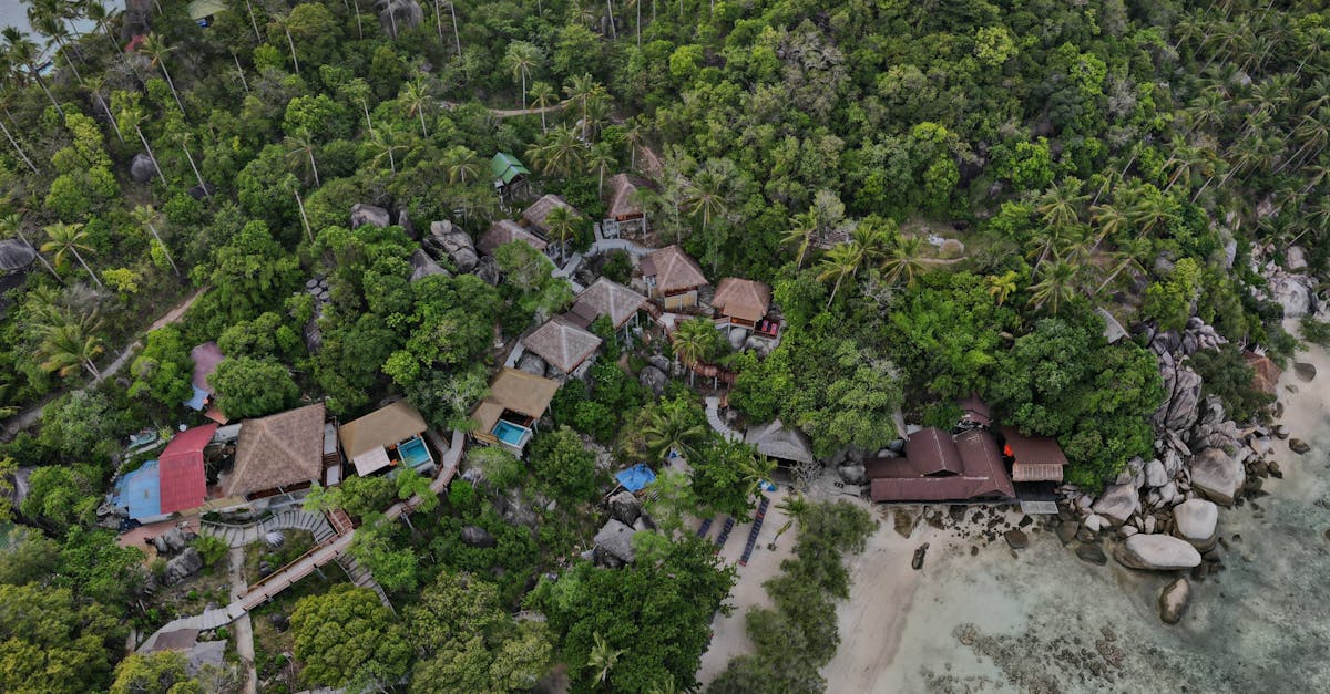 découvrez un monde enchanteur avec 'hidden paradise', un sanctuaire caché où la nature s'épanouit et l'aventure vous attend à chaque coin. évadez-vous dans un lieu secret de beauté sublime, idéal pour les amoureux de la nature et les aventuriers en quête de tranquillité.