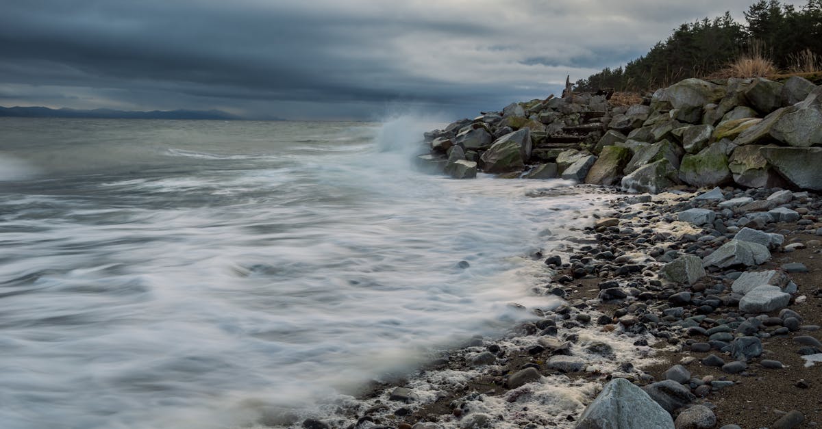 découvrez des plages rocailleuses époustouflantes, où la nature sauvage se marie à des paysages côtiers à couper le souffle. explorez des criques cachées, profitez d'activités nautiques et laissez-vous envoûter par la beauté brute de ces rivages uniques.