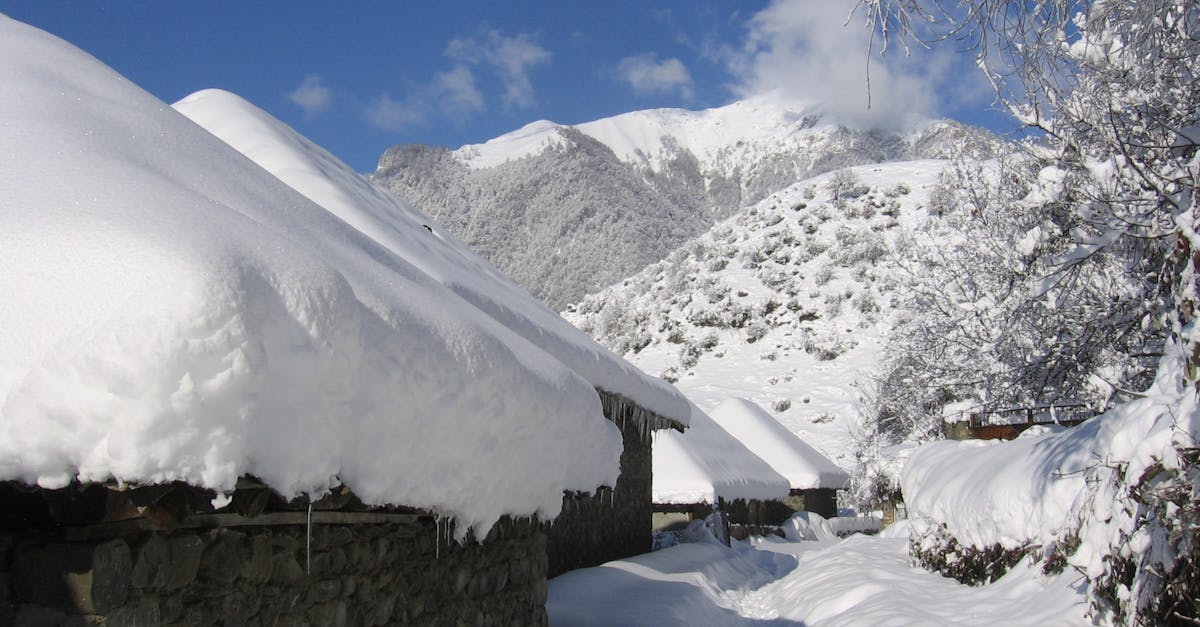 découvrez turgut, un charmant village turc prisé pour ses paysages pittoresques, ses traditions authentiques et son ambiance apaisante. idéal pour une escapade hors des sentiers battus.