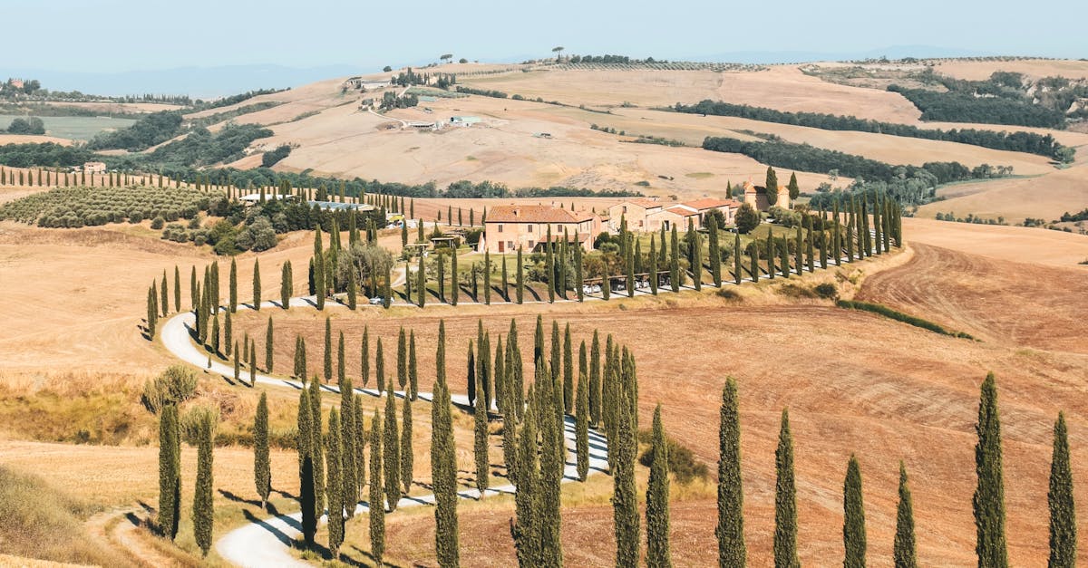 découvrez turgut, un charmant village turc où tradition et nature se rencontrent. profitez d'un cadre paisible, d'une authentique culture locale et de paysages enchanteurs pour une expérience inoubliable.