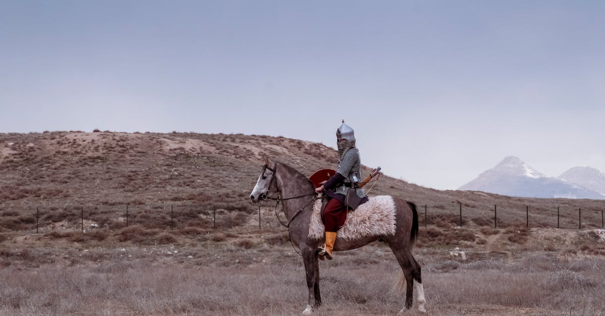 découvrez des biographies fascinantes de figures emblématiques de la turquie, explorant leur vie, leurs contributions et leur impact sur la culture et l'histoire turques. plongez dans des récits inspirants qui mettent en lumière le riche patrimoine de ce pays.