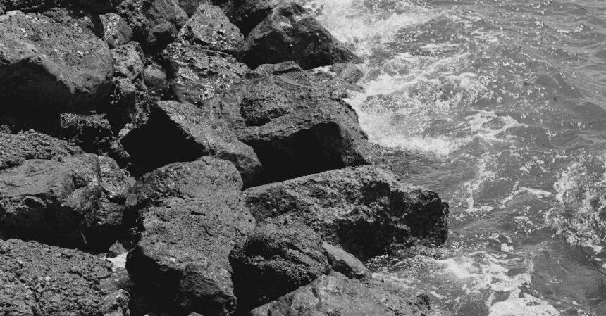 découvrez kuşadası, une charmante station balnéaire turque bordée par la mer égée. profitez de ses plages idylliques, de son riche patrimoine historique et d'une atmosphère vibrante, parfaite pour vos vacances inoubliables.