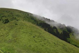 découvrez trabzon, une ville pittoresque de la mer noire en turquie, riche en histoire, culture et paysages époustouflants. explorez ses monastères historiques, ses montagnes verdoyantes et sa délicieuse cuisine locale.