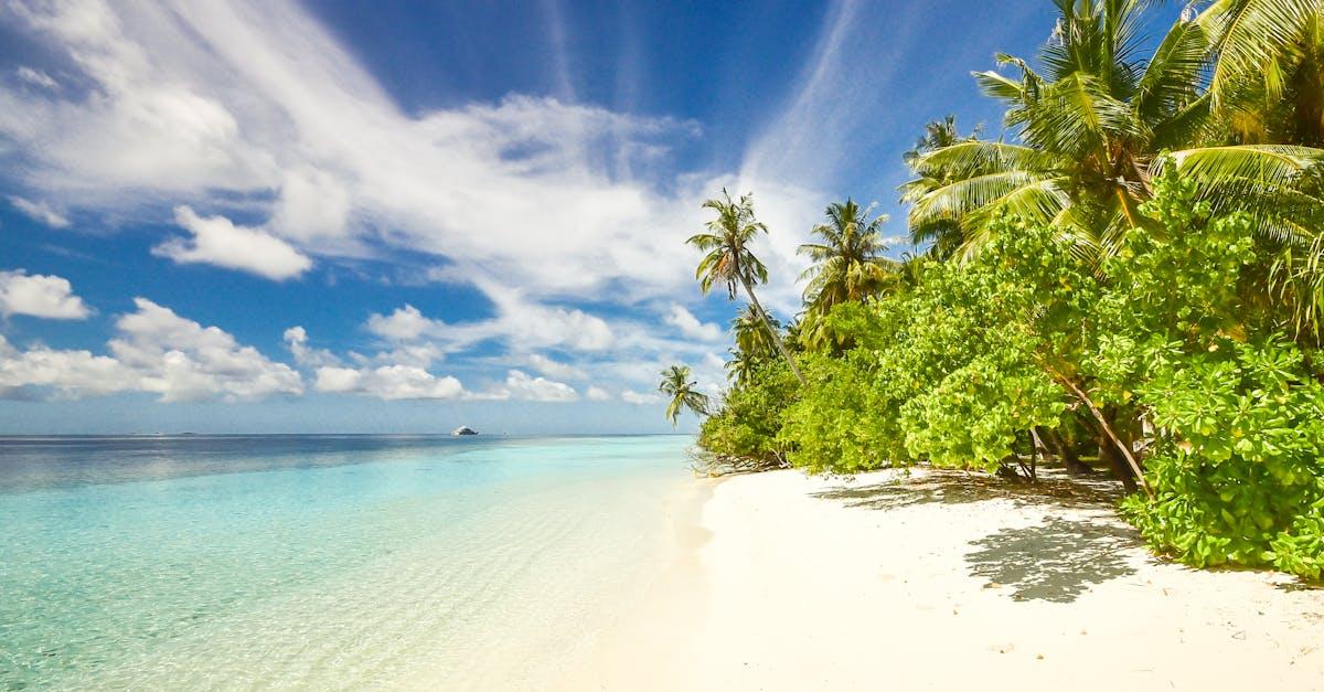 découvrez les plus belles plages du monde, des étendues de sable fin aux eaux cristallines. que vous souhaitiez vous détendre au soleil, pratiquer des sports nautiques ou explorer des paysages marins, nos plages vous offrent une expérience inoubliable. préparez votre escapade balnéaire dès maintenant !