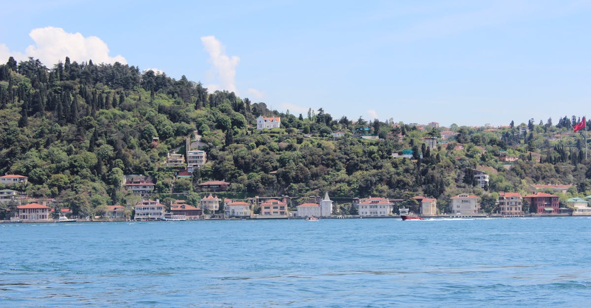 découvrez le bosphore, une superbe voie navigable reliant la mer méditerranée à la mer noire, et plongez au cœur des paysages époustouflants, de l'histoire fascinante et de la culture vibrante d'istanbul. explorez ses rives enchanteuses, ses monuments historiques et savourez la cuisine locale dans ce cadre unique.