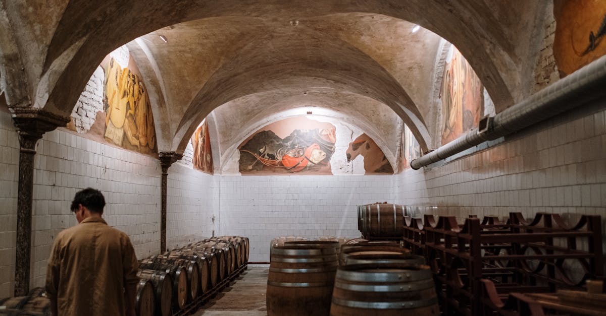 découvrez notre cave room, un espace unique dédié à la dégustation de vins fins dans une ambiance chaleureuse et conviviale. parfait pour des moments de partage entre amis ou en famille, venez explorer notre sélection de crus et profitez d'une expérience sensorielle inoubliable.