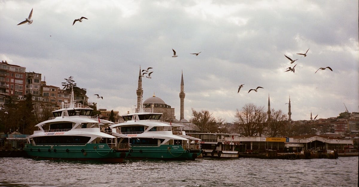 découvrez les ferries des dardanelles, votre solution idéale pour traverser ce passage maritime mythique. profitez de traversées régulières, de paysages à couper le souffle et d'un service de qualité pour explorer cette région riche en histoire et en beauté naturelle.