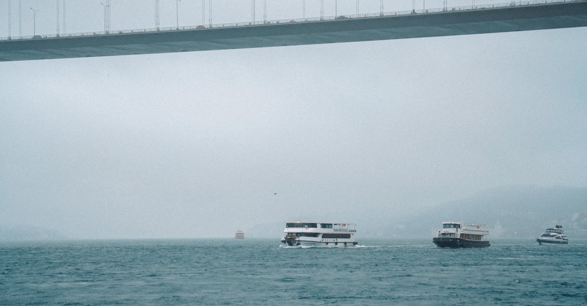 découvrez les ferryboats, des embarcations idéales pour traverser les rivières et les mers avec style et confort. que ce soit pour un transport quotidien ou une excursion, vivez une expérience unique sur l'eau grâce à nos services de ferryboat.