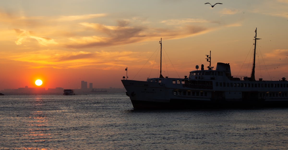 découvrez les ferryboats, embarcations idéales pour traverser les rivières et les ports, offrant une expérience unique sur l'eau. explorez nos services, horaires et destinations pour profiter pleinement de vos trajets maritimes.