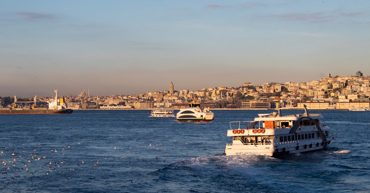 découvrez l'univers des ferryboats, ces embarcations qui relient les rives avec efficacité et charme. explorez les différentes destinations, les services à bord et les avantages de voyager par mer. que vous planifiez une escapade ou un trajet quotidien, notre guide sur les ferryboats vous accompagnera à chaque étape.