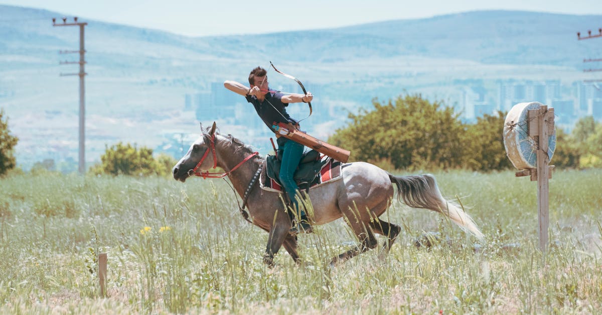 découvrez konya, une ville riche en histoire et en culture en turquie. explorez ses magnifiques mosquées, ses musées fascinants et son ambiance chaleureuse, tout en savourant la délicieuse cuisine locale. un voyage incontournable au cœur de la culture soufie.