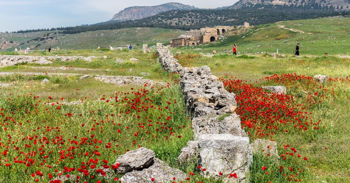 découvrez pamukkale, un site naturel éblouissant en turquie, célèbre pour ses formations en terrasses de calcaire blanc et ses eaux thermales riches en minéraux. un lieu magique alliant beauté naturelle et histoire ancienne, parfait pour une aventure inoubliable.