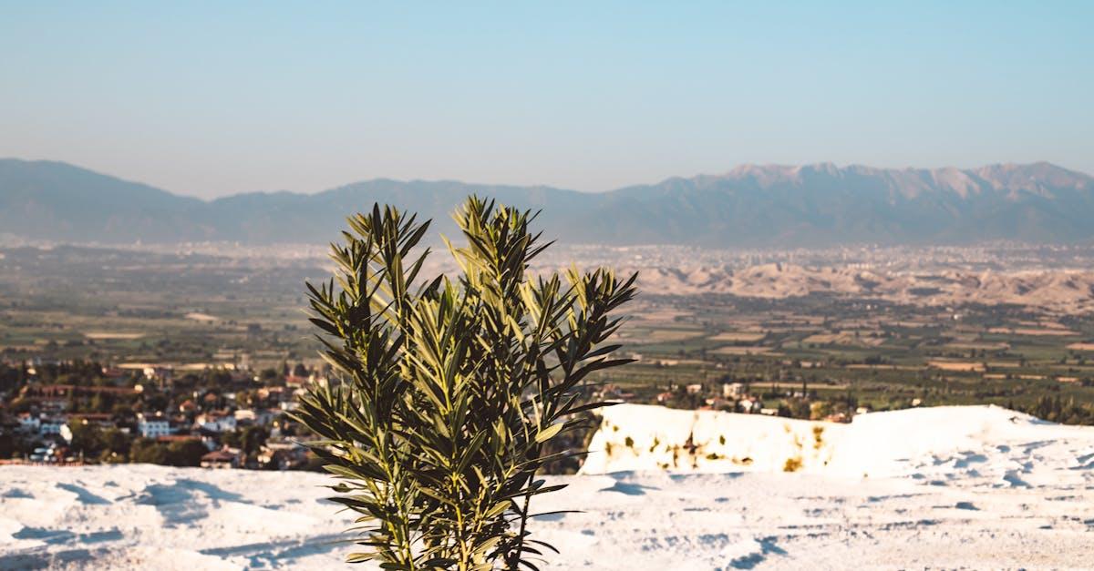 découvrez pamukkale, la merveille naturelle de turquie célèbre pour ses terrasses de travertin et ses sources thermales, un lieu où la beauté et la détente se rencontrent au cœur de paysages époustouflants.