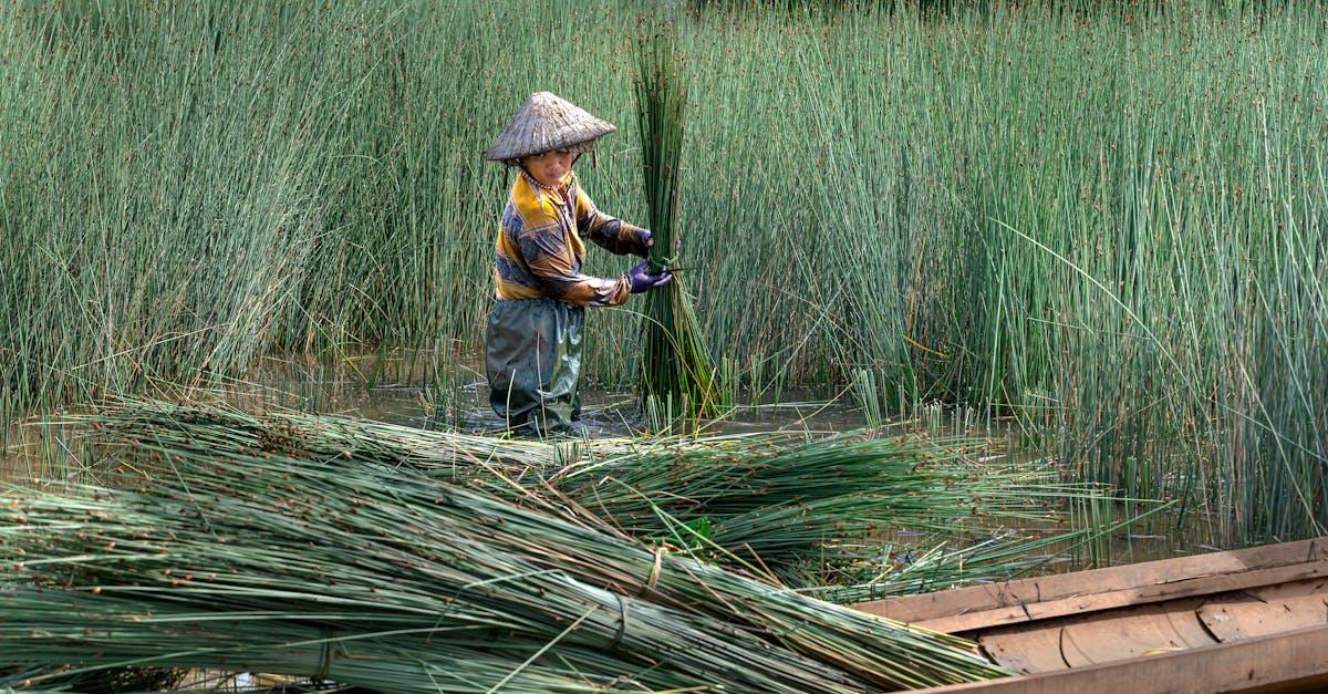 découvrez selge, un endroit fascinant rempli d'histoire, de culture et de paysages à couper le souffle. explorez ses sites archéologiques, savourez sa cuisine locale et imprégnez-vous de l'ambiance unique de ce joyau caché.