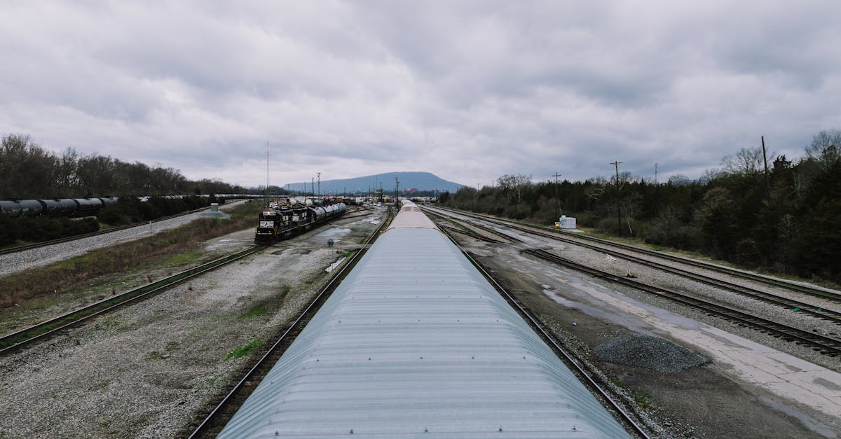 découvrez l'art de voyager en train à travers des paysages à couper le souffle. profitez du confort et de la détente de chaque trajet tout en explorant de nouvelles destinations. que vous soyez en voyage d'affaires ou en quête d'aventure, vivez une expérience inoubliable sur rails.