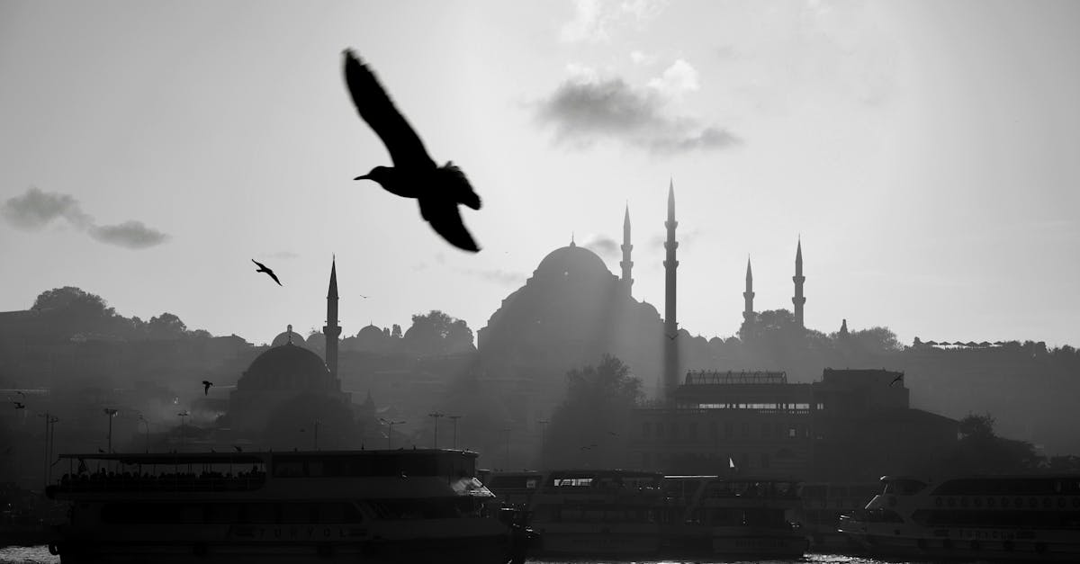 découvrez le charme authentique des gulets turcs, des voiliers traditionnels en bois alliant élégance et confort. partez à l'aventure sur les eaux cristallines de la méditerranée et explorez les magnifiques côtes de la turquie à bord d'une gulet, tout en savourant des instants de détente et des paysages à couper le souffle.