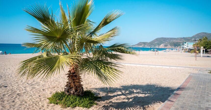 découvrez les plages envoûtantes d'alanya, où le sable doré rencontre les eaux cristallines de la méditerranée. profitez d'activités nautiques, de moments de détente au soleil et de paysages à couper le souffle dans cette destination incontournable de la turquie.