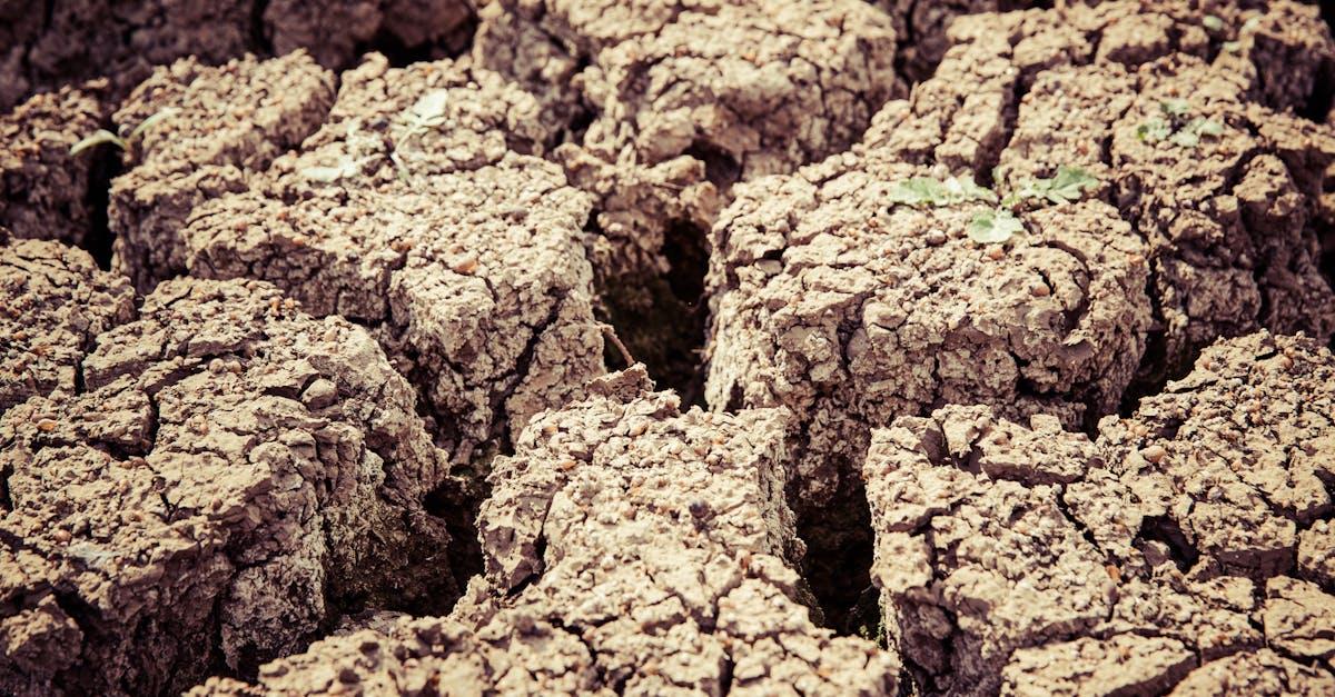 découvrez les causes, les impacts et les mesures de prévention des tremblements de terre. informez-vous sur les séismes, leur intensité et comment se protéger face à ces phénomènes naturels.