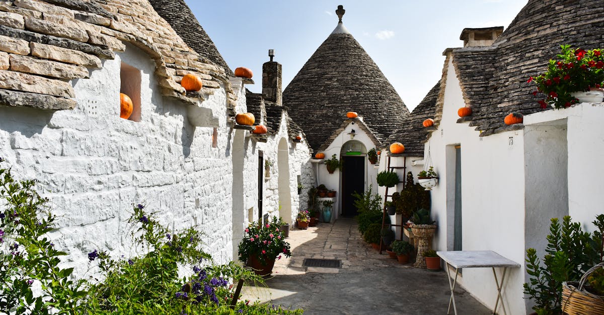 découvrez gallipoli, une ville emblématique de la côte ionienne en italie, connue pour ses plages paradisiaques, son riche patrimoine historique et sa délicieuse cuisine locale. explorez ses charmantes ruelles, visitez ses monuments historiques et profitez d'une atmosphère méditerranéenne unique.