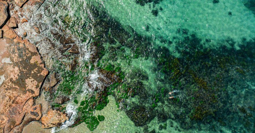 découvrez lara beach, une magnifique plage de la côte méditerranéenne en turquie, réputée pour ses eaux cristallines, son sable doré et ses paysages à couper le souffle. profitez d'activités nautiques, de villas de luxe et d'une ambiance paisible pour des vacances inoubliables.