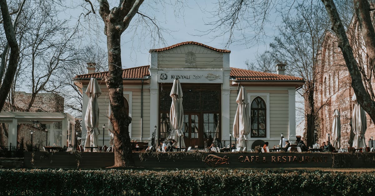 découvrez taksim gezi park, un oasis de verdure au cœur d'istanbul, symbole de la résistance citoyenne. profitez de ses allées ombragées, de ses jardins floraux et de son ambiance conviviale, tout en explorant son histoire fascinante et son rôle dans la culture turque.