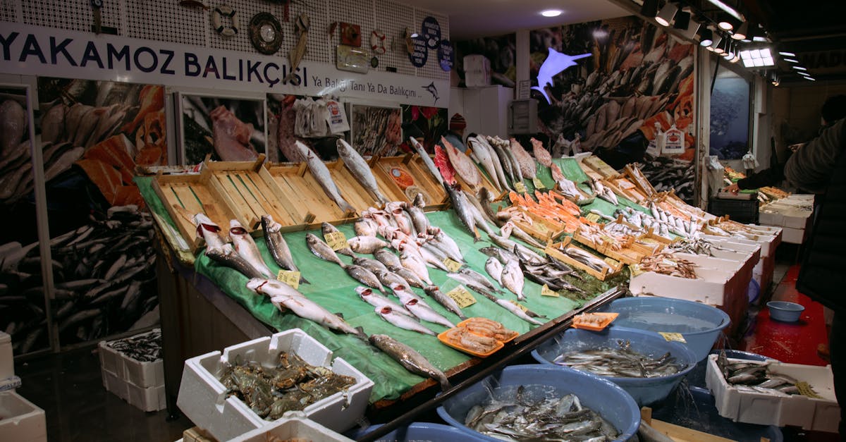 découvrez les meilleurs repas de poisson abordables à istanbul. savourez des plats savoureux et frais tout en respectant votre budget. idéal pour les amateurs de fruits de mer en quête d'authenticité et de qualité.