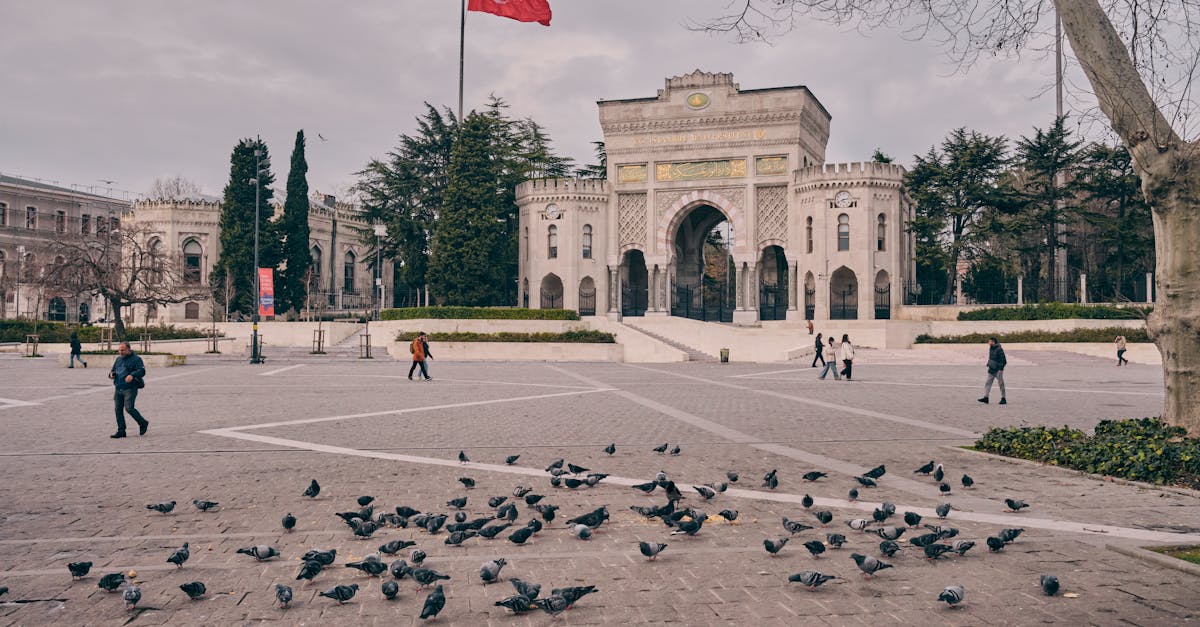 découvrez la beauté historique de la place beyazıt, un lieu emblématique d'istanbul où se rencontrent culture, architecture et vie animée. explorez ses monuments, ses jardins luxuriants et l'atmosphère unique qui en font un incontournable de la ville.