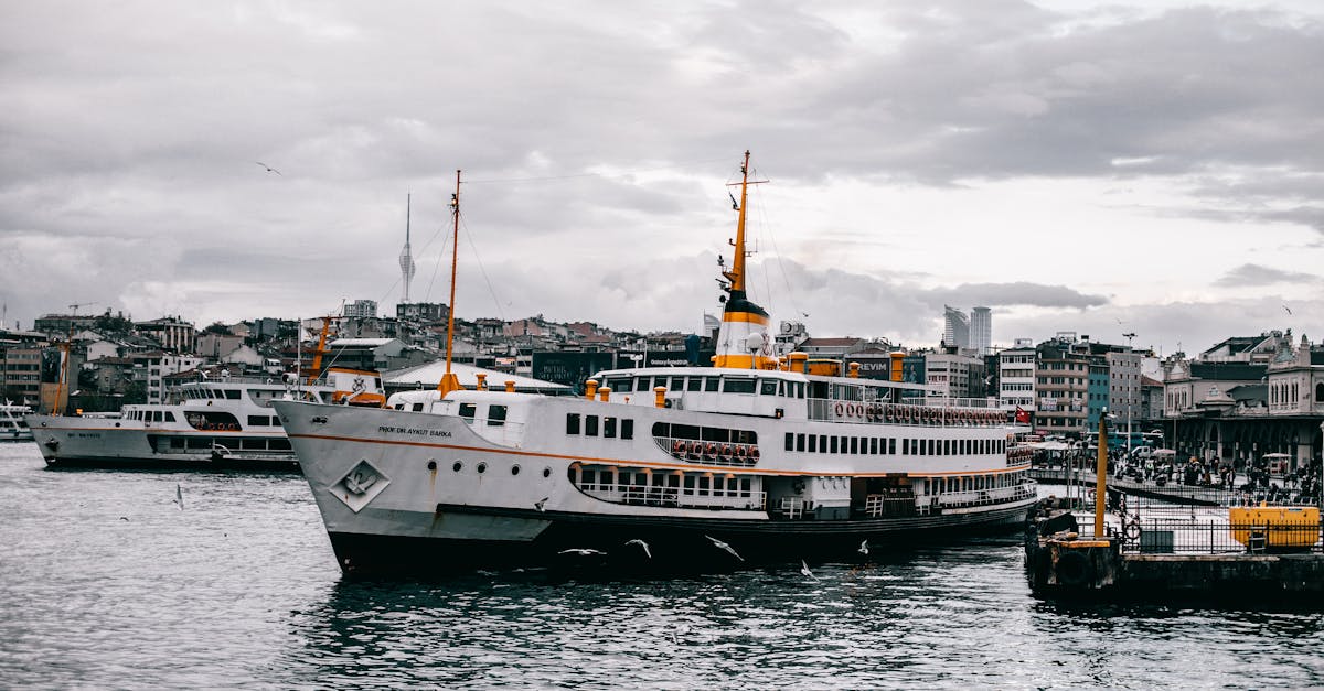 découvrez les croisières inoubliables sur le bosphore, où vous pouvez admirer les paysages époustouflants d'istanbul tout en naviguant entre l'europe et l'asie. profitez d'une expérience relaxante avec des vues à couper le souffle et une cuisine délicieuse à bord.