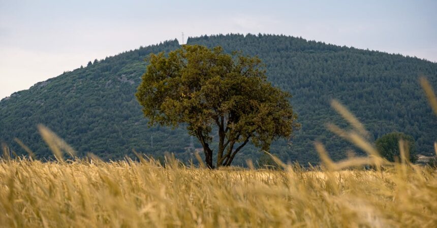 découvrez burdur, une ville pittoresque de la turquie, célèbre pour ses paysages naturels époustouflants, ses lacs cristallins et sa riche histoire culturelle. explorez ses attractions uniques, de l'architecture ancienne à la gastronomie locale, et vivez une expérience inoubliable au cœur de cette destination fascinante.