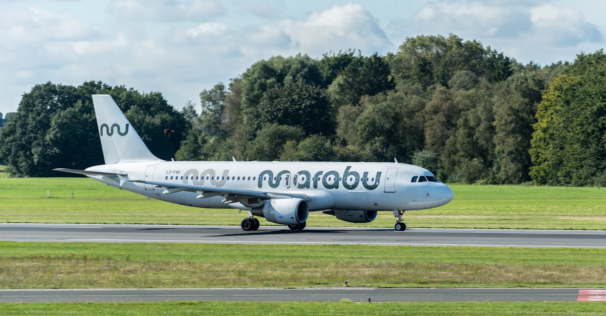 découvrez notre service de transfert d'aéroport en cappadoce, alliant confort et flexibilité. profitez d'un trajet sans stress vers votre destination grâce à nos chauffeurs professionnels et à nos véhicules modernes. réservez dès maintenant et commencez votre aventure en cappadoce en toute sérénité!