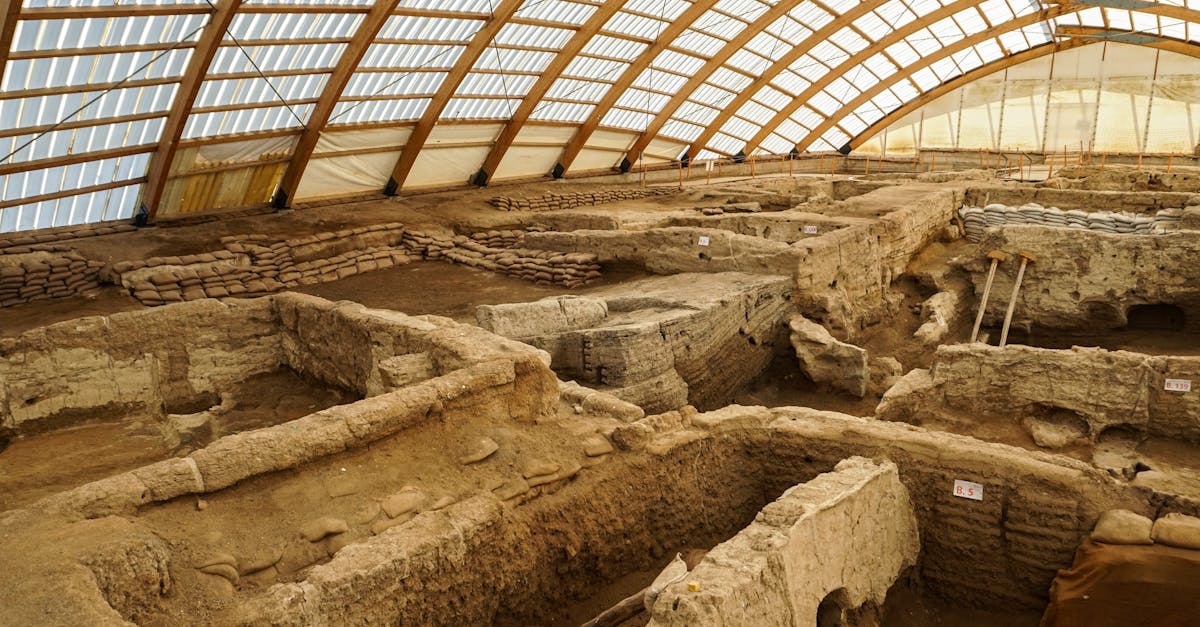 découvrez çatalhöyük, l'une des plus anciennes et fascinantes sociétés humaines connues, située en turquie. plongez dans l'histoire de cette ville néolithique, ses habitations troglodytiques, et ses riches artefacts culturels qui éclairent la vie de nos ancêtres.