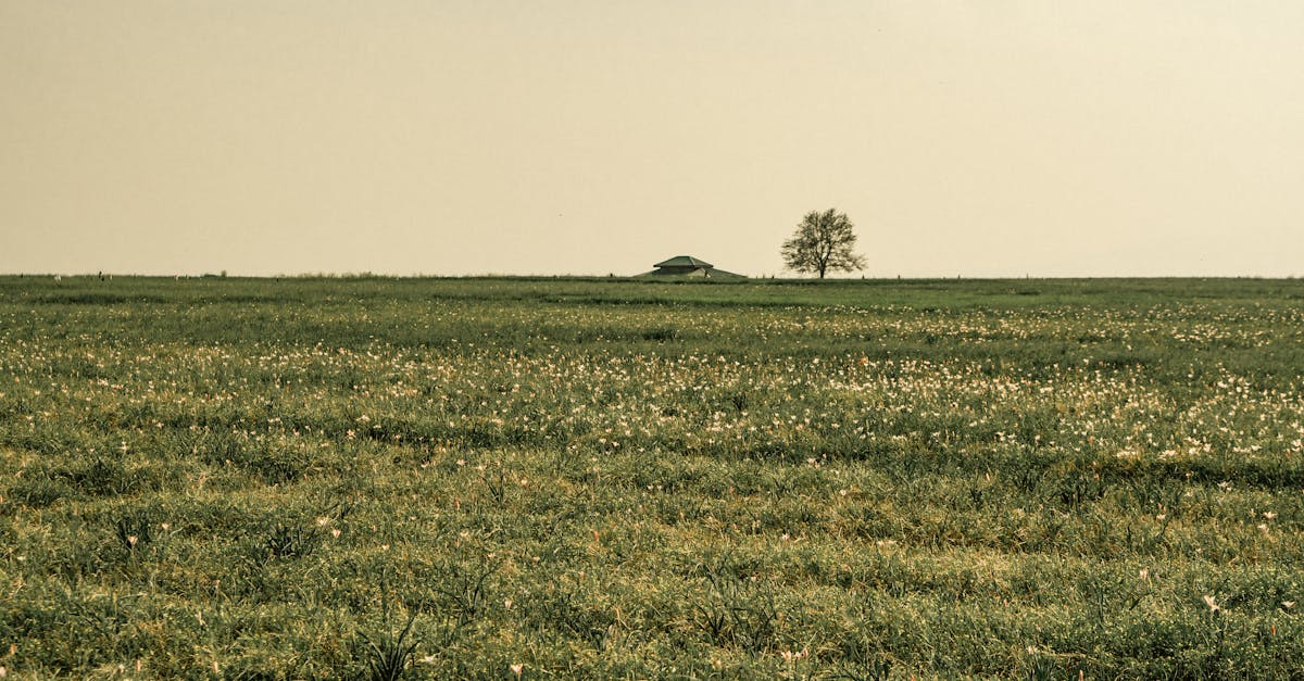 découvrez l'originalité et le charme des maisons troglodytes, des habitations uniques creusées dans la roche, offrant un habitat à la fois historique et moderne. explorez ces espaces innovants, où l'architecture rencontre la nature, et laissez-vous séduire par leur ambiance apaisante et authentique.