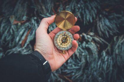 découvrez l'univers fascinant de la découverte, où la curiosité et l'exploration mènent à des révélations surprenantes. plongez dans des récits captivants et des innovations qui transforment notre compréhension du monde.