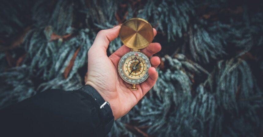 découvrez l'univers fascinant de la découverte, où la curiosité et l'exploration mènent à des révélations surprenantes. plongez dans des récits captivants et des innovations qui transforment notre compréhension du monde.