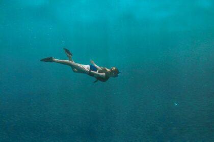 découvrez le monde fascinant de la plongée sous-marine. explorez des paysages marins époustouflants, rencontrez une faune extraordinaire et vivez des aventures inoubliables. plongez dans l'univers de la plongée et apprenez les meilleures techniques pour profiter pleinement de cette activité passionnante.