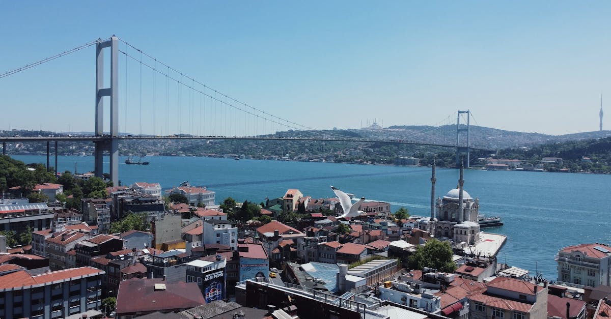 découvrez la majestueuse mosquée emir sultan, une merveille architecturale d'istanbul. explorez son histoire fascinante, son design impressionnant et son atmosphère paisible qui en font un incontournable pour les visiteurs et les passionnés de culture.
