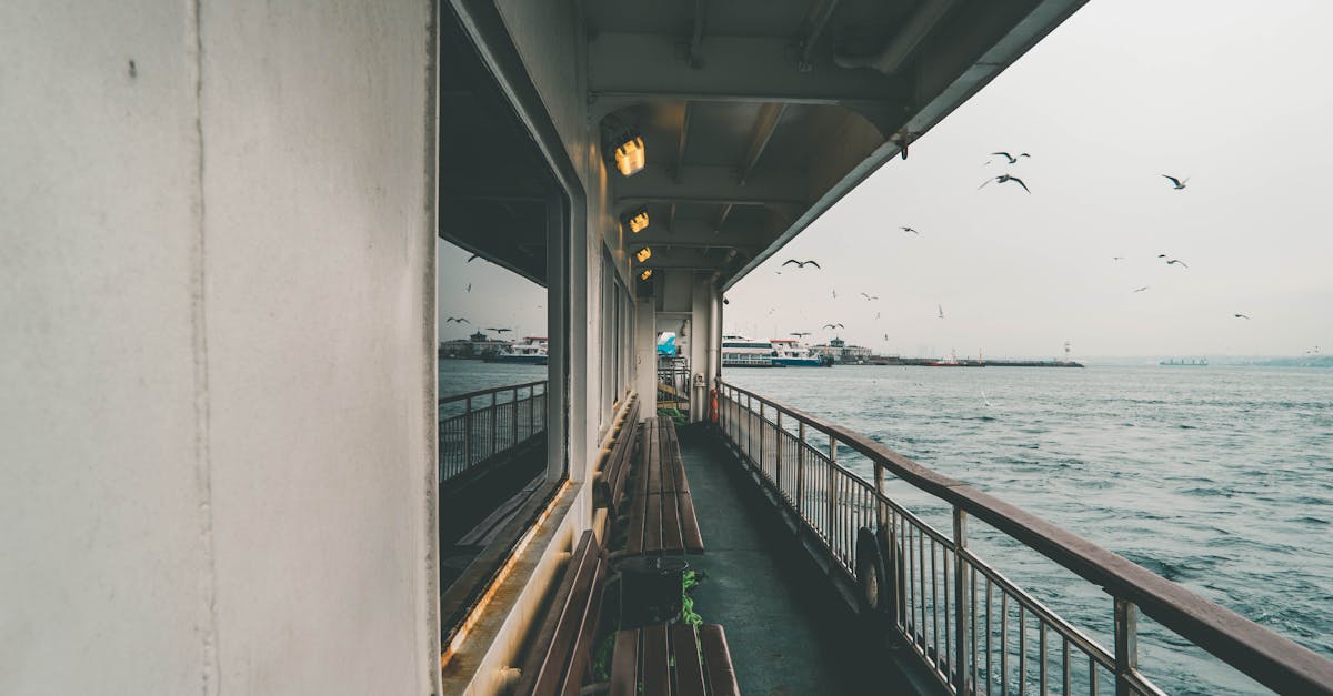 découvrez nos services de ferry pour des traversées relaxantes et pratiques. profitez de paysages marins à couper le souffle tout en rejoignant votre destination en toute sécurité.