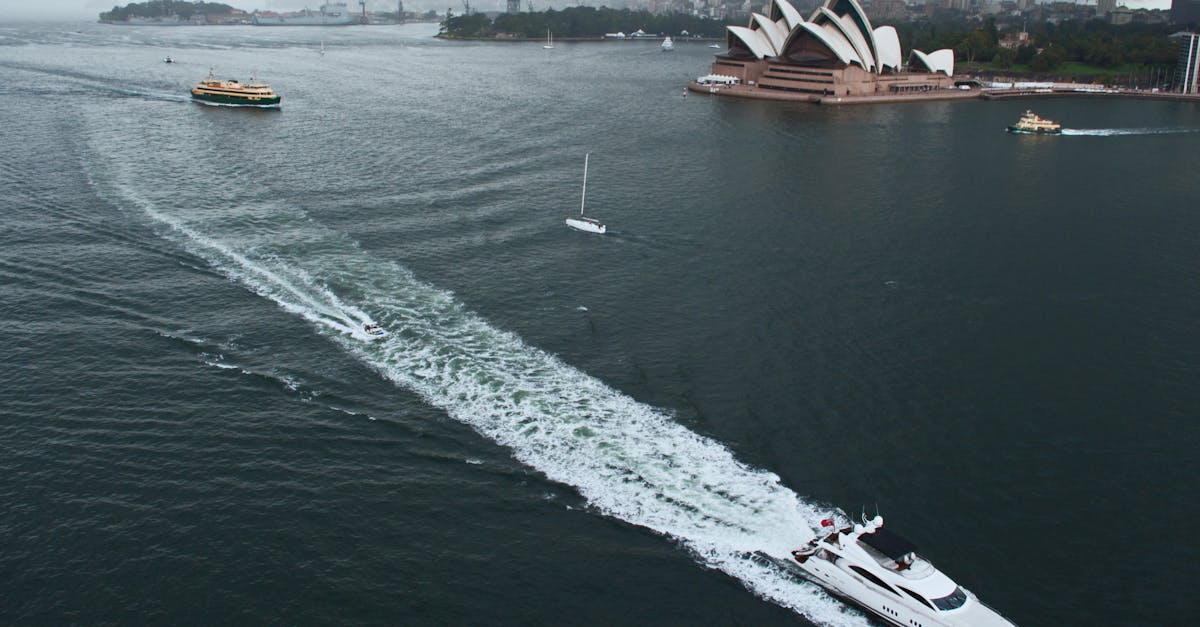 découvrez l'aventure unique d'une croisière en ferry, où vous pourrez explorer de magnifiques destinations tout en profitant d'un confort inégalé et de vues imprenables sur l'océan. embarquez pour une expérience mémorable, alliant détente et découvertes sur les vagues.