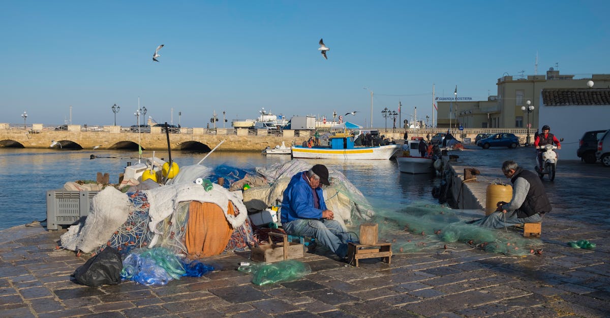 découvrez gallipoli, une ville historique en italie, connue pour ses magnifiques plages, son architecture baroque et son riche patrimoine culturel. explorez les ruelles pittoresques, savourez une cuisine locale délicieuse et plongez dans l'histoire fascinante de cette destination méditerranéenne.