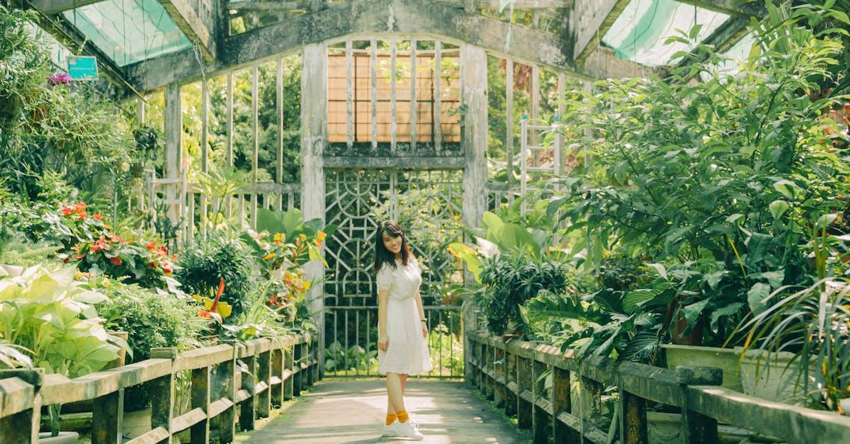 découvrez les avantages et les techniques de culture en serre pour un jardinage efficace et durable. optimisez la croissance de vos plantes tout au long de l'année avec des conseils pratiques et des solutions adaptées.