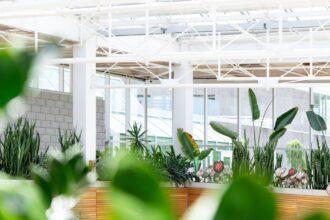 découvrez le monde fascinant des serres : un espace idéal pour cultiver des plantes en toute saison, optimiser la croissance et créer un environnement contrôlé. plongez dans les techniques de jardinage innovantes et les avantages des serres pour vos projets de jardinage.