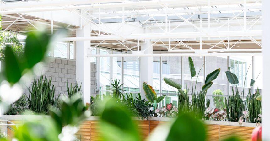 découvrez le monde fascinant des serres : un espace idéal pour cultiver des plantes en toute saison, optimiser la croissance et créer un environnement contrôlé. plongez dans les techniques de jardinage innovantes et les avantages des serres pour vos projets de jardinage.