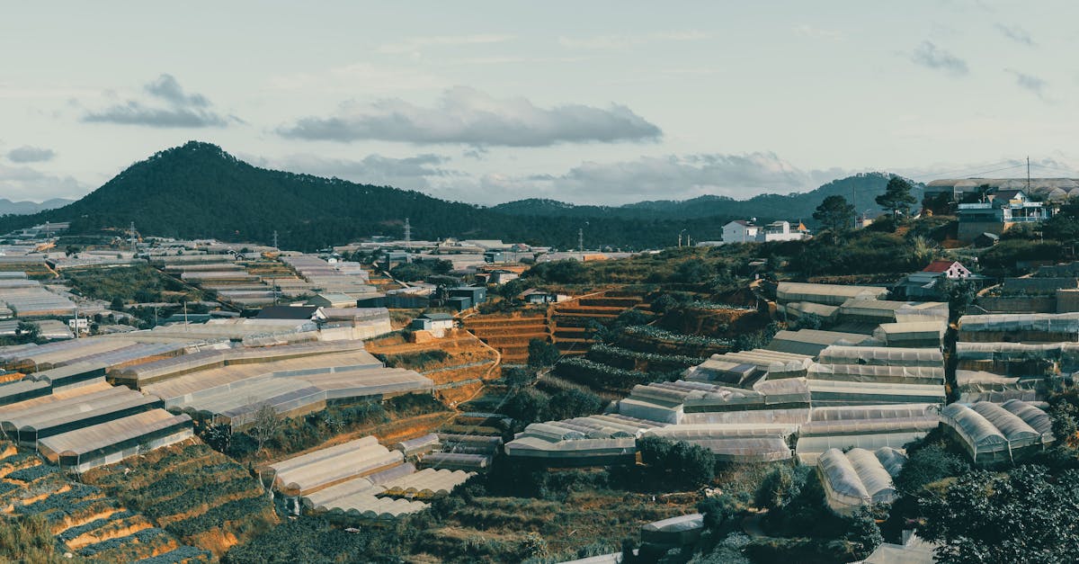 découvrez notre gamme de serres adaptées à tous vos besoins de jardinage. que vous soyez un amateur ou un jardinier expérimenté, nos serres offrent un environnement idéal pour cultiver vos plantes tout au long de l'année.