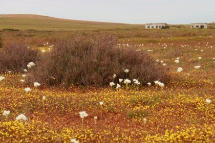 découvrez les meilleures randonnées à travers des paysages époustouflants. que vous soyez novice ou randonneur expérimenté, trouvez des sentiers adaptés à tous les niveaux et plongez dans la nature.